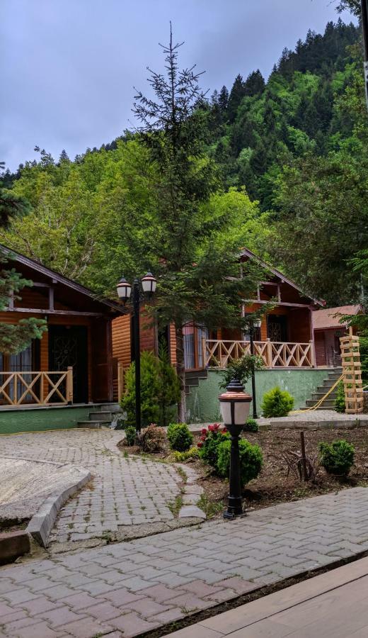 Centro Park Hotel Kamalac Oda fotoğraf